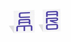 Front Lettering Inlay Decal Sticker for 93-02 Camaro