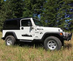 Tree Decal for Doors of TJ Jeep Wrangler (1997-2006)