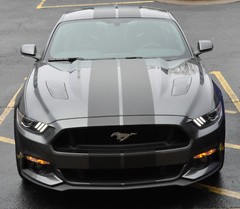 10 11 12 13 14 Ford MUSTANG 10″ DUEL Racing Vinyl Stripe Graphic Decal 36 FT.