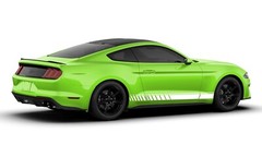 Rocker side stripes graphics stickers decal compatible with Ford Mustang
