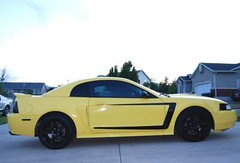 1999-2004 FORD MUSTANG C-STRIPES DECALS STICKER VINYL GRAPHICS GT V6 99-04 PAIR