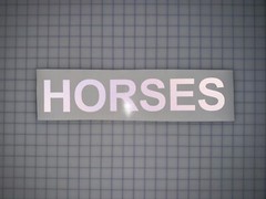 HORSES 3″x17″ REFLECTIVE Decal Arial Bold (10 Different Colors) Safety Sticker