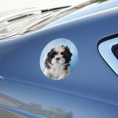 Shih Tzu Dog Black White on Blue Circle Bumper Window Sticker
