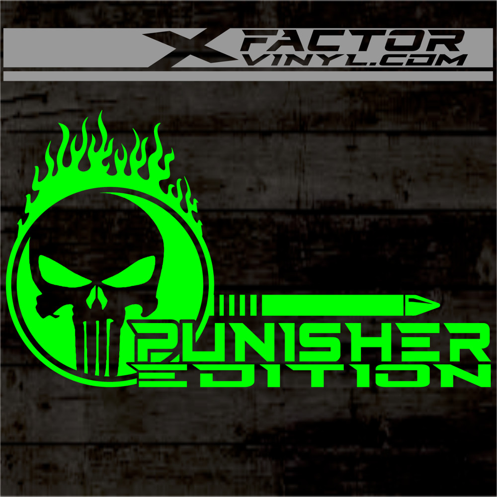 Flaming Skull Punishment Limited Edition Dicut Decal 2 Sizes FREE SHIPPING
