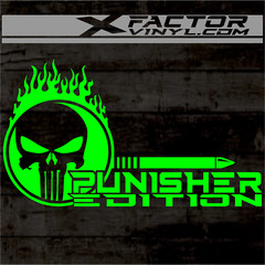 Flaming Skull Punishment Limited Edition Dicut Decal 2 Sizes FREE SHIPPING