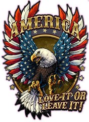 American Love it or Leave it Decal 5″
