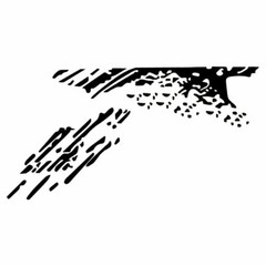 Decal Sticker Side Bed Mud Splash Kit For Ford Raptor F-150 Rear Tail 09-18