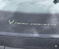 C8 Corvette CACTI GREEN TEAM CORVETTE PLAIN BLNK VINYL INSERT! 2INX7IN