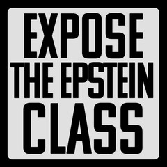 10-Pack EXPOSE THE EPSTEIN CLASS Stickers – 2″x2″ Bumper Decals Water-Resistant