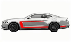 Racing Stripe Graphic Decal Sticker For Ford Mustang Coupe GT Shelby GT500 GT350