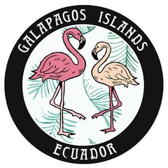 Two Flamingos Galapagos Islands Ecuador Car Truck Window Bumper Sticker Decal