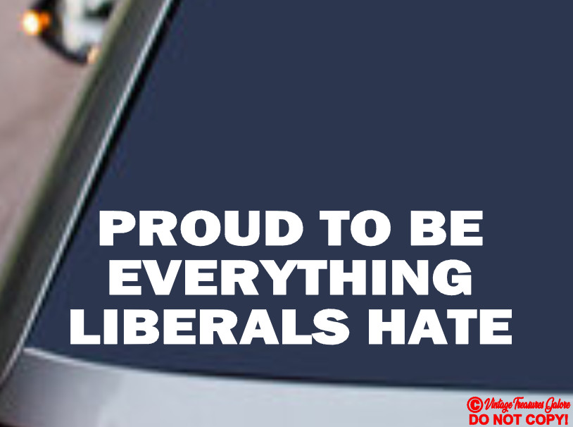 PROUD TO BE EVERYTHING LIBERALS HATE Vinyl Decal Sticker Car TRUMP 2024 FIGHT