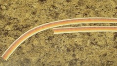 1977 Can Am Left & right mirror stripes