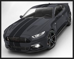 10 11 12 13 14 Ford MUSTANG 10″ DUEL Racing Vinyl Stripe Graphic Decal 36 FT.