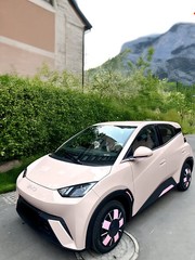 Cherry Blossom Pink Color PPF