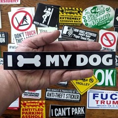 I Bone My Dog joke sticker animal dog canine love treats good boy Bumper Sticker