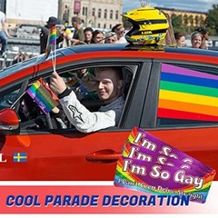 Im so Gay I Cant Even Drive Straight -Reflective Car Auto Bumper Magnet -Hilario