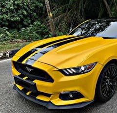 236” Black Hood Roof Trunk Rally Racing Stripe Decal Sticker For Ford Mustang