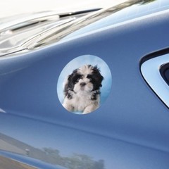 Shih Tzu Dog Black White on Blue Circle Bumper Window Sticker