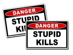 Stupid Kills Danger Warning Sticker Decal OEM JDM Car Truck Bumper Vehicle Trick