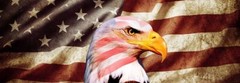 American Flag Pick Up Truck SUV Rear Back Window Graphics Decal Wrap Tint #20