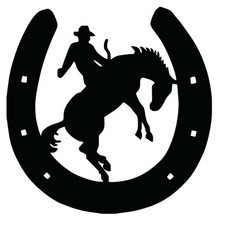 4x Cowboy , Sticker, Vinyl, Southern, Rodeo, Horse, Cowgirl 4×3 Inch Each
