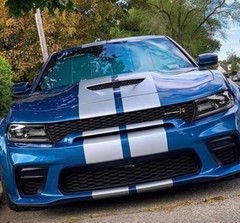 FITS Dodge Charger 15-22 Duel 10″ Racing Stripes Vinyl Graphic Decal CUT KIT