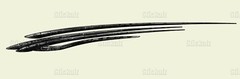 Racing Stripes sticker boat, Tribal street racing graphic, Tribal boat vinyl