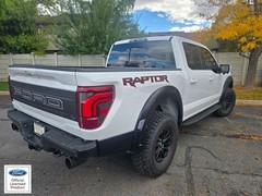 2021-2025 Ford Raptor Rear Side Raptor- Comes In Pair Vinyl Decal