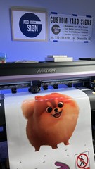 Custom Printed Vehicle Decal, Full Color Laminated, Your Business Logo