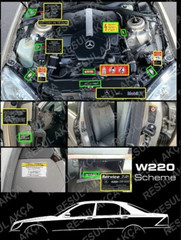 Decal Set Stickers For Mercedes-Benz W220 S Class All Models Best Quality