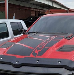 Compatible with Ram Rebel Vinyl graphics TATTERED Lines Hood & Bedsides Package