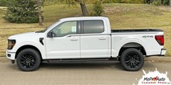 ENFORCER FP700 2021-2024 Ford F-150 Side Body Decals Stripes Vinyl Graphic Black