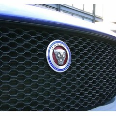 Blue Logo Decor Ring Trim For Jaguar F-Pace XE XF XJ Front Grille Feline Emblem