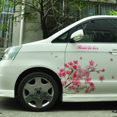 Graphics Cherry Blossom Car Sticker Lovely Flower Waist Line Vinyl Decal 2 Sides