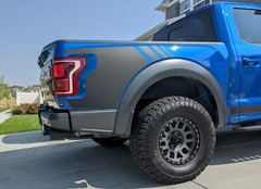 2020 Ford Raptor Bed Graphics Vinyl Side Decal Stickers Plain 2018 2019 2017
