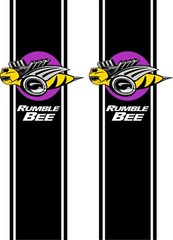 Fits Dodge Ram 1500 2500 3500 RUMBLE BEE Rear Side Rally Stripes Racing Sport