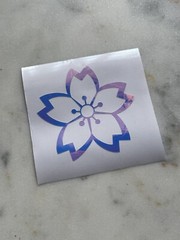 Sakura Cherry Blossom Vinyl Decal Sticker Car Laptop – Pink Opal Iridescent Open