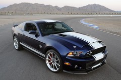 2010 – 2012 Ford Mustang 21″ “WIDE” Snake Style Super Stripes #1 Quality Stripes