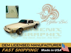 1980 1981 Pontiac Firebird Esprit Yellow Bird Decals & Stripes Kit