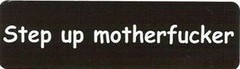 Motorcycle Sticker for Helmets or toolbox #833 Step up mother