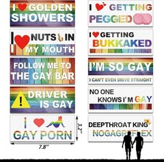 10 Pcs Bumper Decals Funny LGBT Stickers Rainbow Bumper Prank Car Stickers Co…