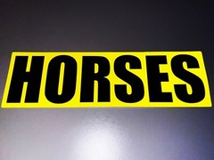 Reflective 30cm HORSES SOLO Hose Box Trailer Car Van Pickup Truck Stickers