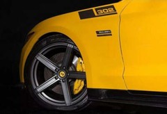 Upper Fender Saleen Stripes – 302 (2015-2024 Mustang)