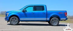 2015-2020 F-150 Lower Panel ROCKER ONE Solid Decals Stripes Vinyl Graphics