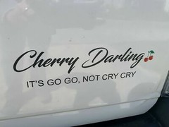 Custom Vinyl Decal Sticker Banner | Business Logo Submit Ideas Lettering Window
