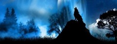 T152 WOLF Tailgate Wrap Vinyl Graphic Decal Sticker LAMINATED