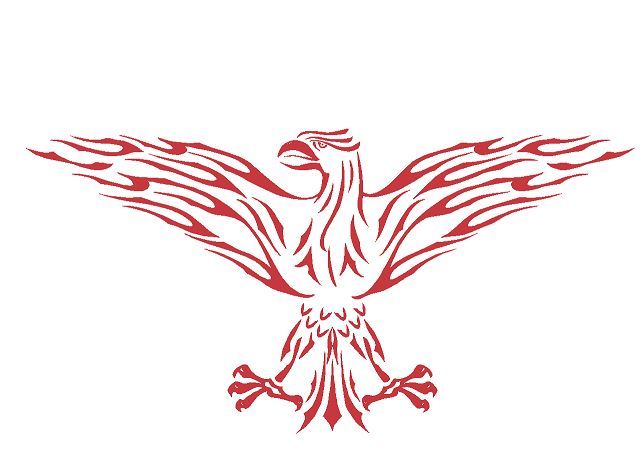 FLAME DECAL #EXF15 VINYL GRAPHIC CAR TRUCK VEHICLE FIRE AUTO VAN BIRD FIRE SUV
