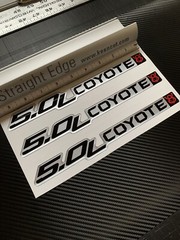 (3) Gel-coated 5.0L COYOTE V8 badge emblems Ford F-150 black/silver/red 9.5in