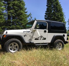 Tree Decal for Doors of TJ Jeep Wrangler (1997-2006)